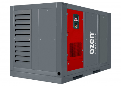 Винтовой компрессор Ozen OSC DS Premium OSC 110DS 10 бар - интернет-магазин промышленного оборудования «Дюкон»